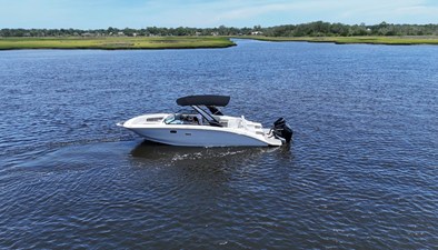 SEA RAY SDX 290 OUTBOARD
