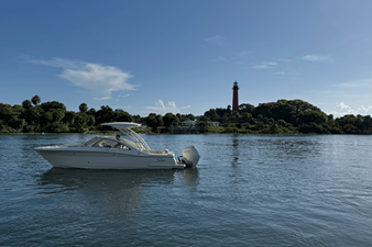 SCOUT 240 DORADO