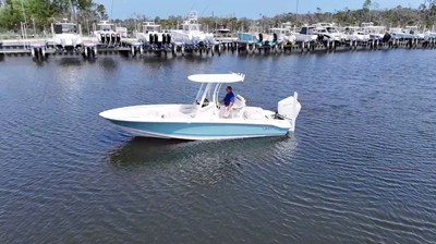 BOSTON WHALER 250 DAUNTLESS