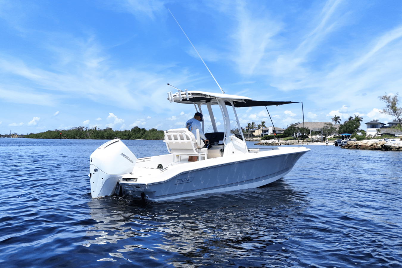 Boston Whaler 220 Dauntless — 2026 Boston Whaler 220 Dauntless — fotoğraf 4