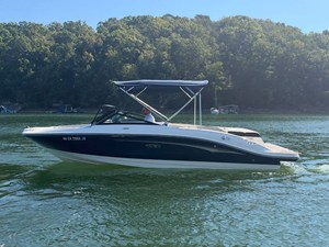 SEA RAY SPX 210