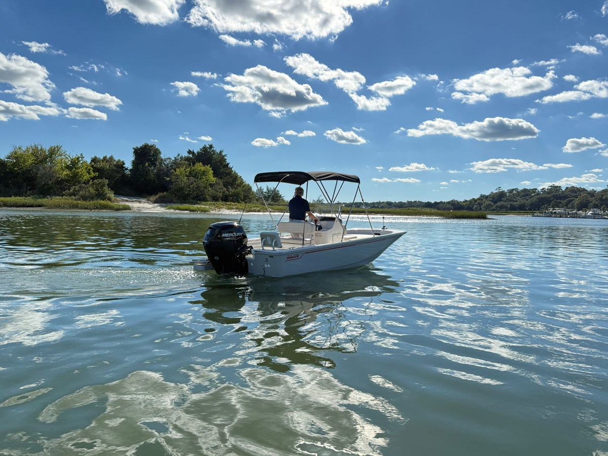 Boston Whaler 170 Montauk — 2027 Boston Whaler 170 Montauk — fotoğraf 4