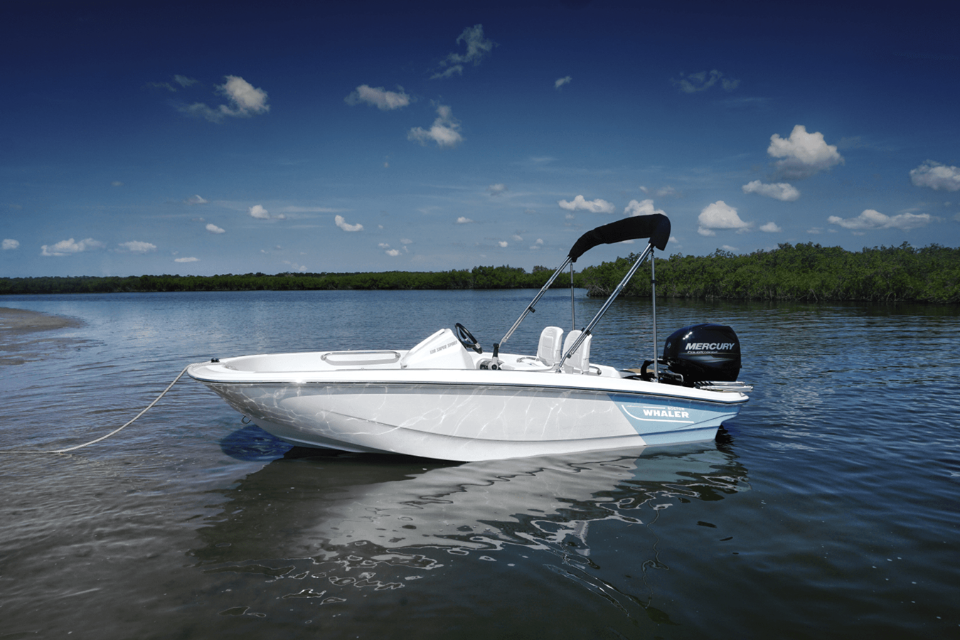 Boston Whaler 130 Super Sport — 2027 Boston Whaler 130 Super Sport — fotoğraf 5