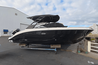 SEA RAY SDX 250 OUTBOARD