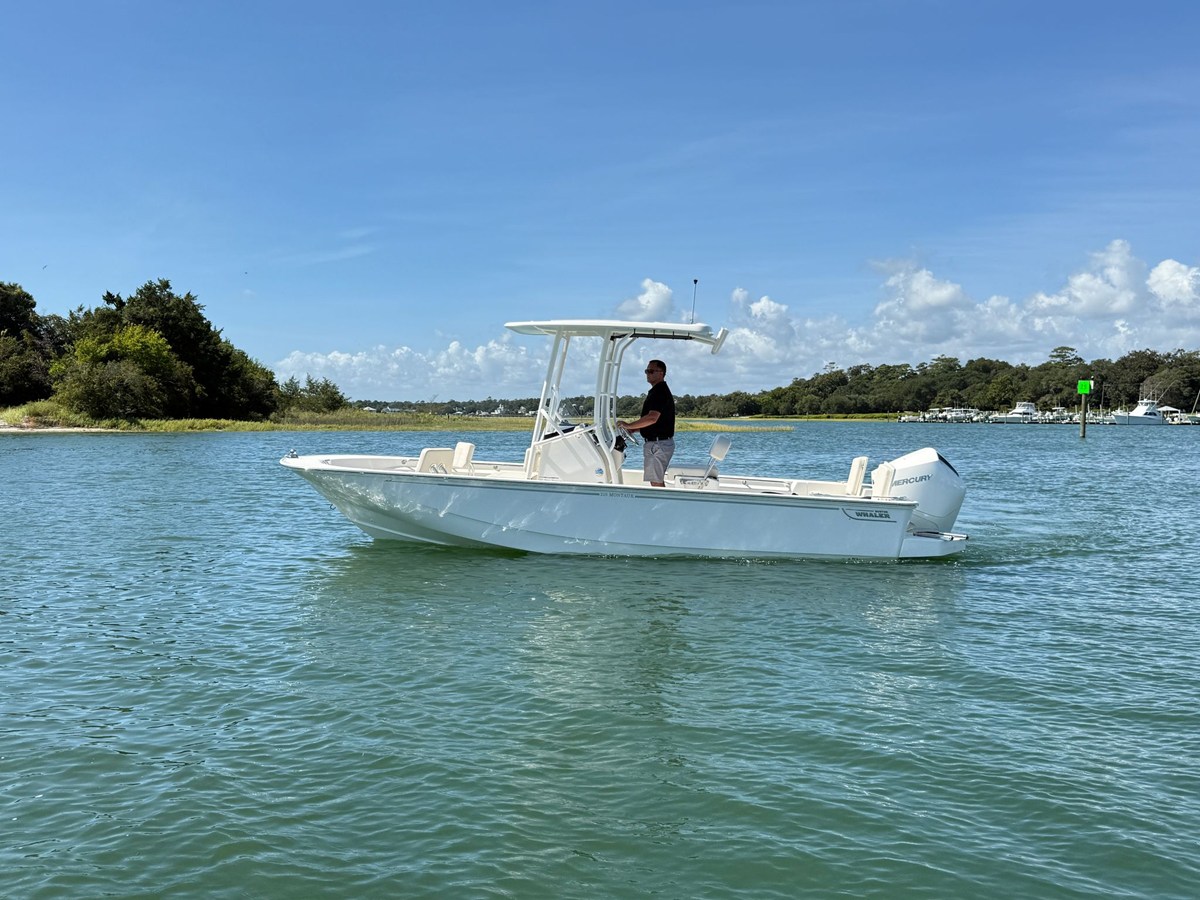Boston Whaler 210 Montauk — 2027 Boston Whaler 210 Montauk — fotoğraf 5