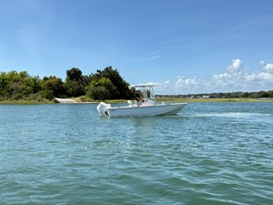 BOSTON WHALER 210 MONTAUK