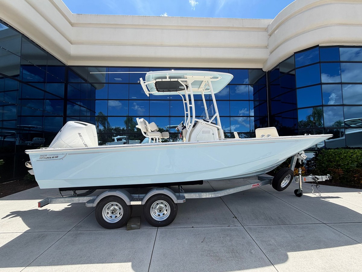 Boston Whaler 210 Montauk — 2027 Boston Whaler 210 Montauk — fotoğraf 2