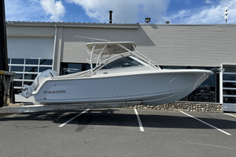 SAILFISH 245 DC 487729