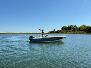SCOUT 188 SPORT DORADO