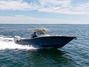 SCOUT 305 LXF 487844