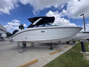 SEA RAY SDX 250 OUTBOARD