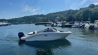 SEA RAY SPX 210 OUTBOARD