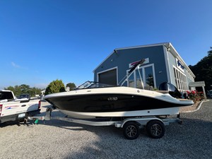 SEA RAY SPX 210 OUTBOARD