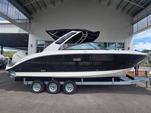 SEA RAY SDX 250 OUTBOARD