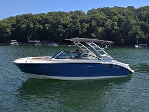 SEA RAY SDX 250