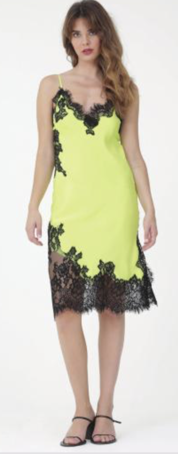 coco lace dress coast