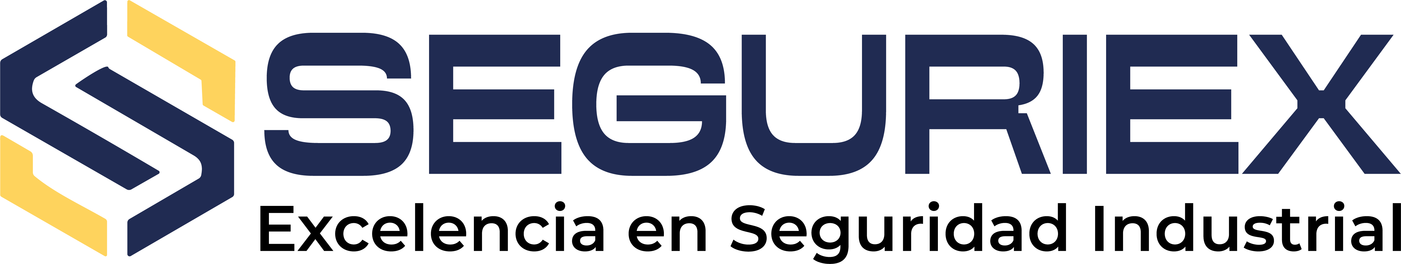 Logo de SEGURIDAD INDUSTRIAL Y EXPERIENCIA