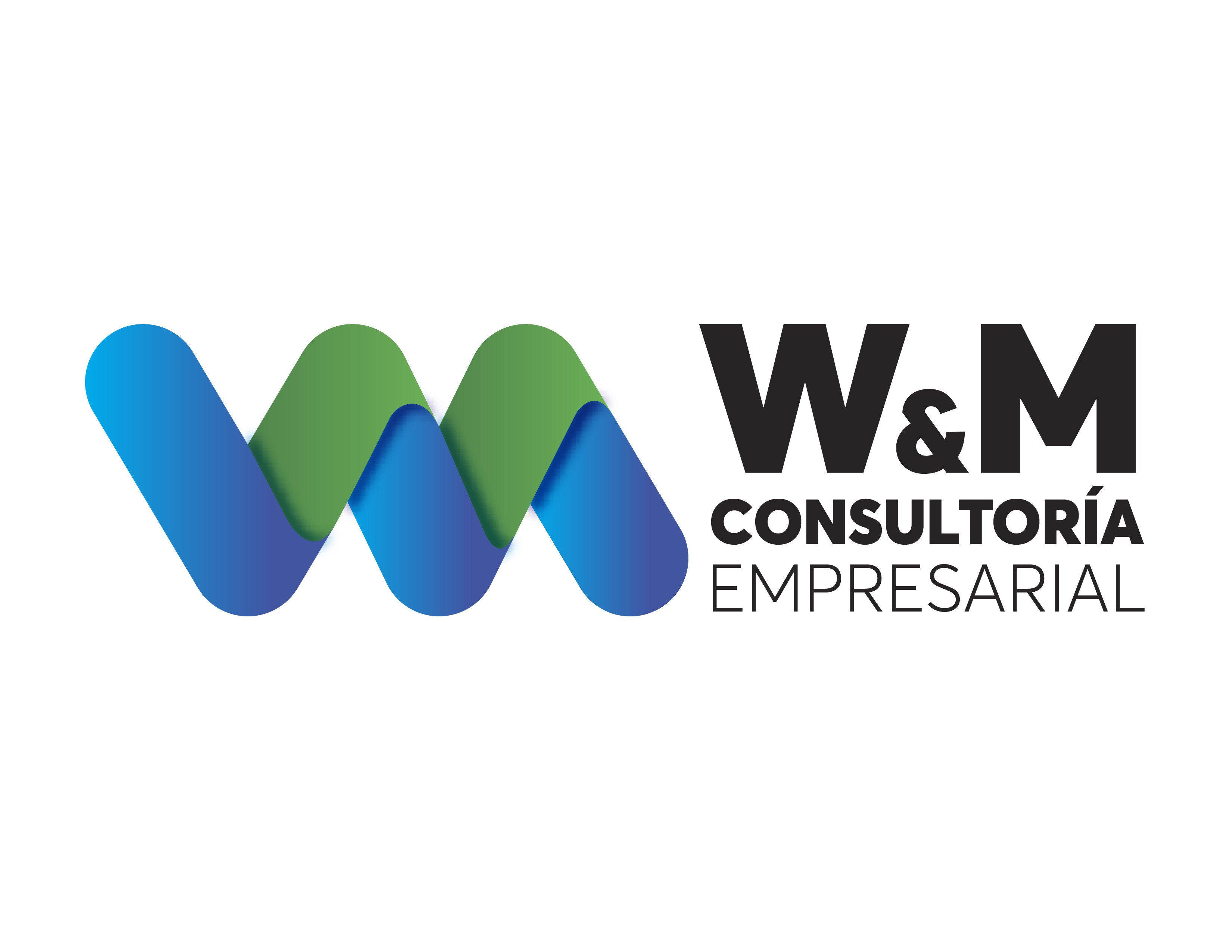 Logo de W&M CONSULTORIA EMPRESARIAL, S. DE R.L. DE C.V