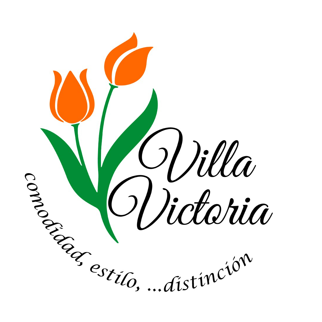 Logo de INVERSIONES VILLA VICTORIA, S. DE R.L.