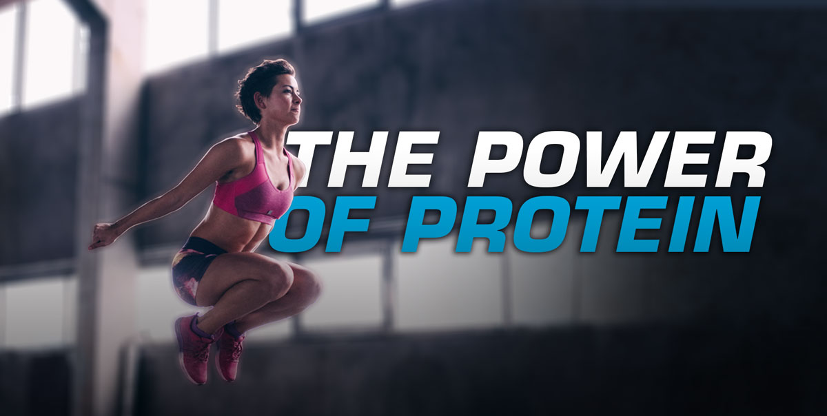 the power of protein