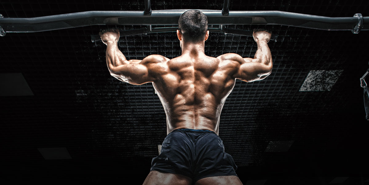 ultimate back exercises