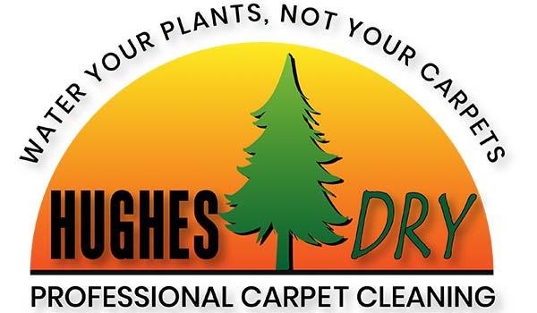 Hughes Dry Professional Carpet Cleaning & Repairs