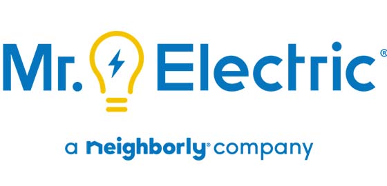 Mr. Electric
