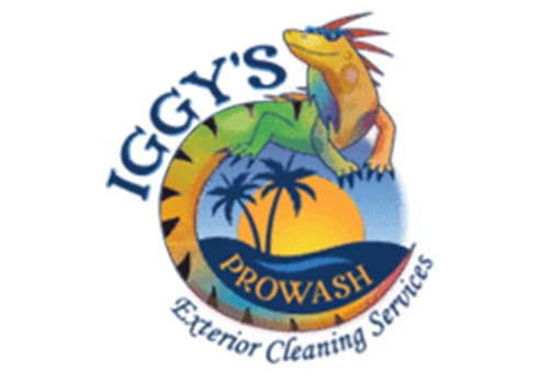 Iggy's Pro Wash