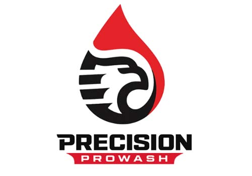Precision Pro Wash