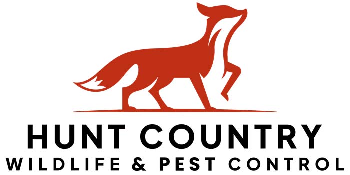 Hunt Country Wildlife Control