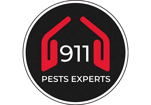 911 Pests Experts