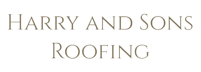 Harry & Sons Roofing