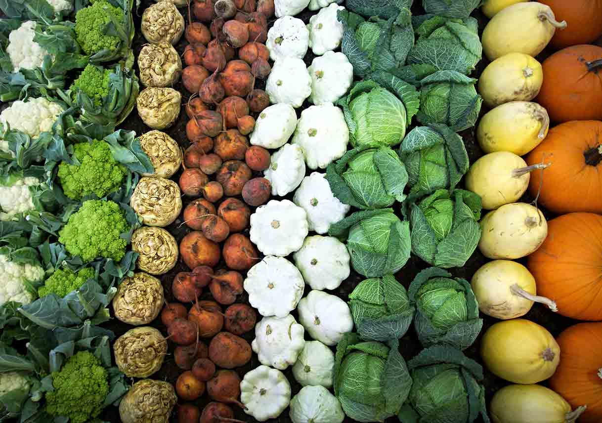 How to Plant a ColdWeather Garden Best Pick Reports