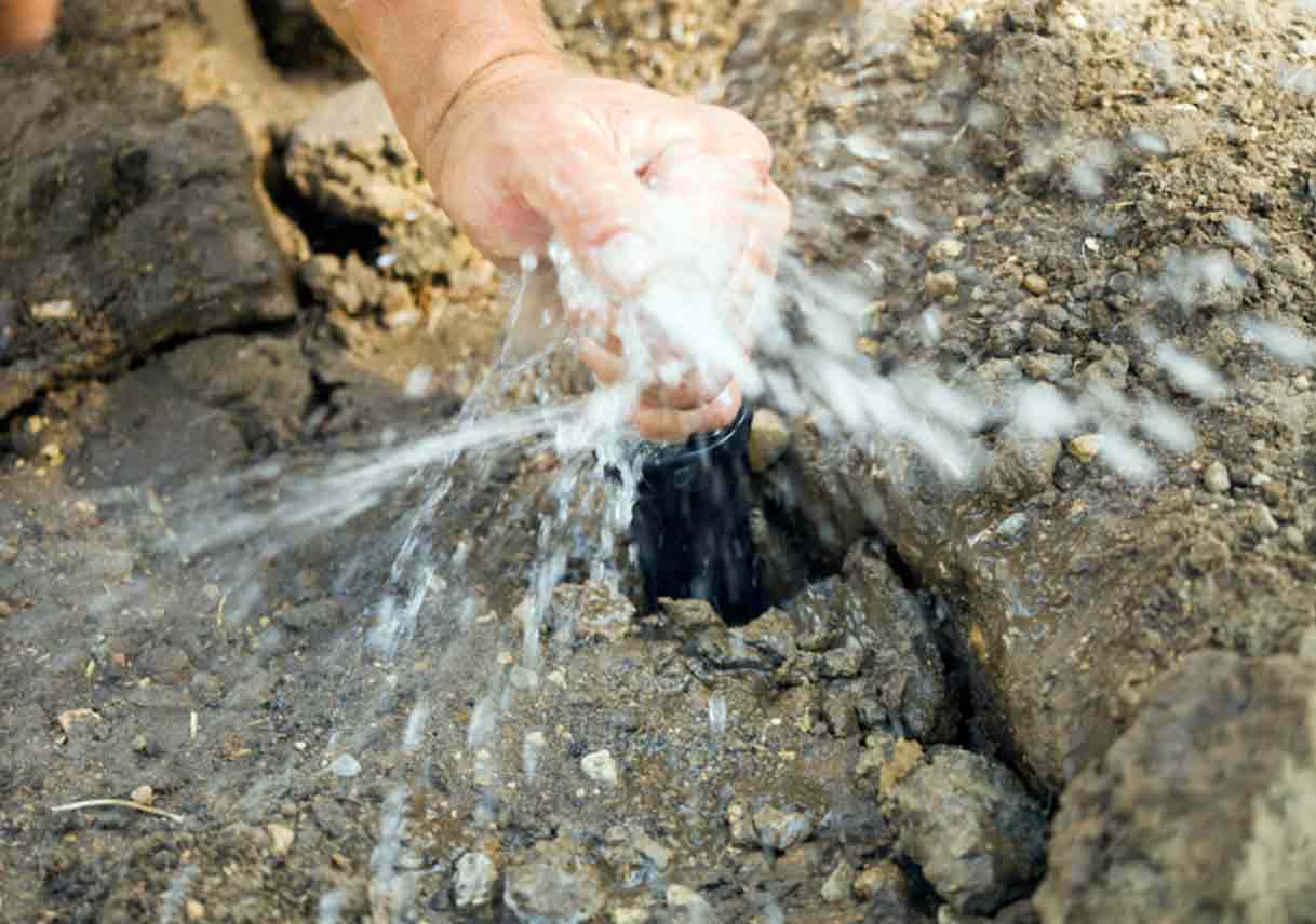 Selecting and Plotting Your Sprinkler Heads Best Pick Reports