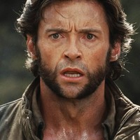 Wolverine-