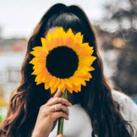 girassol_amarelo