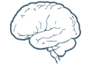 The Brain