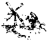 A image thumb