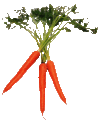 A image thumb