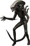 A image thumb