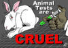 A image thumb