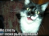 A image thumb