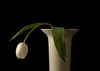 A image thumb