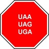 A image thumb