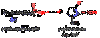 A image thumb