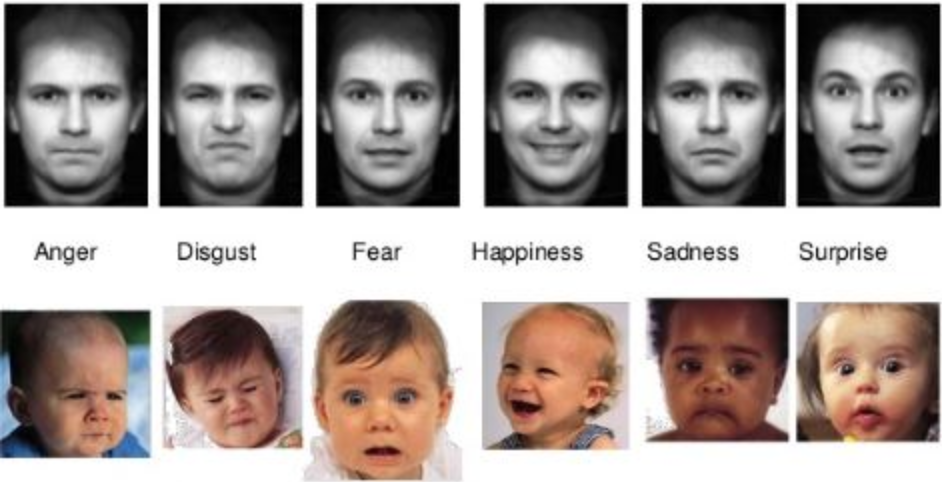 What is an emotion