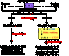 A image thumb
