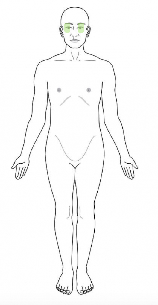 Unlabeled Anatomical Position