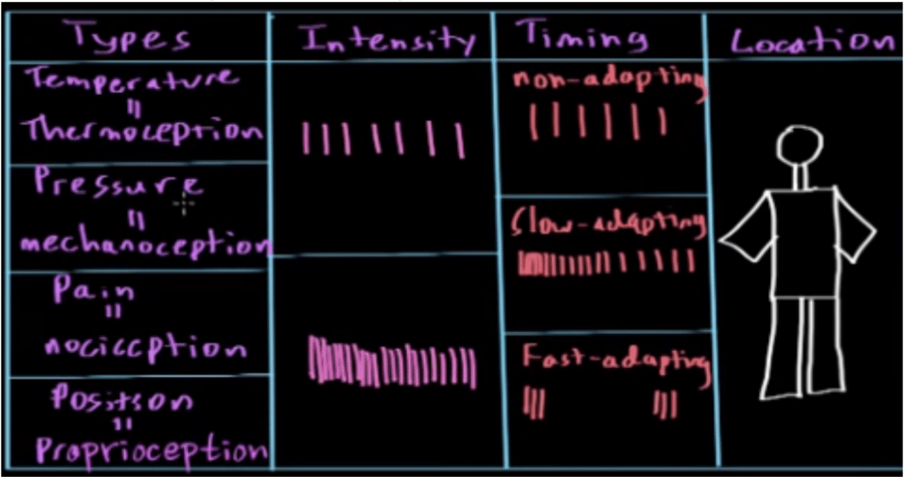 Khan Academy 300 Page Document Terms and Concepts Flashcards by