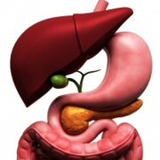 Gastroenterology